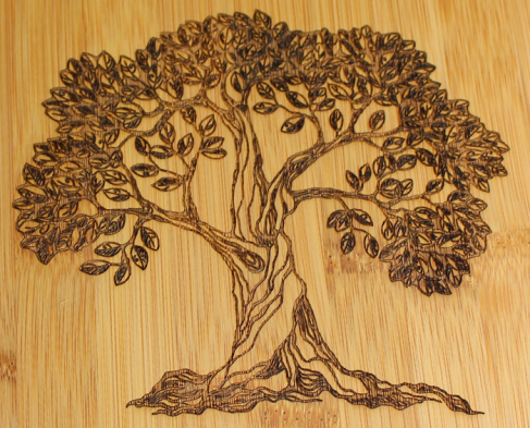 Laser Engraving on Wood 